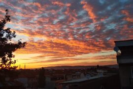 Erken Kalkmak 31 erken kalkmak - Erken Kalkmak